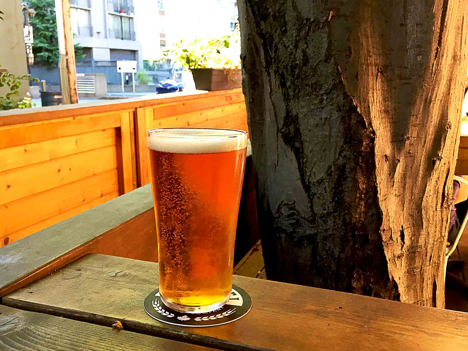 The Beer to Unlock Your IPA Appreciation | Hidden Gems Vancouver